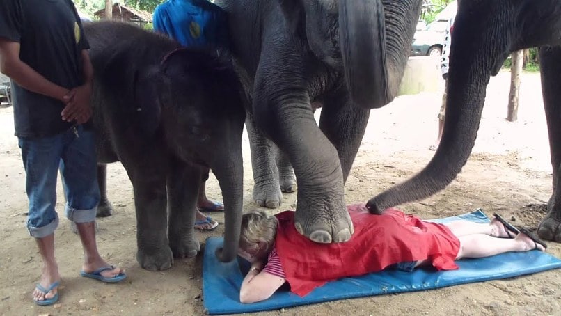 Elephant Massage