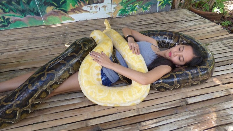 Python Massage