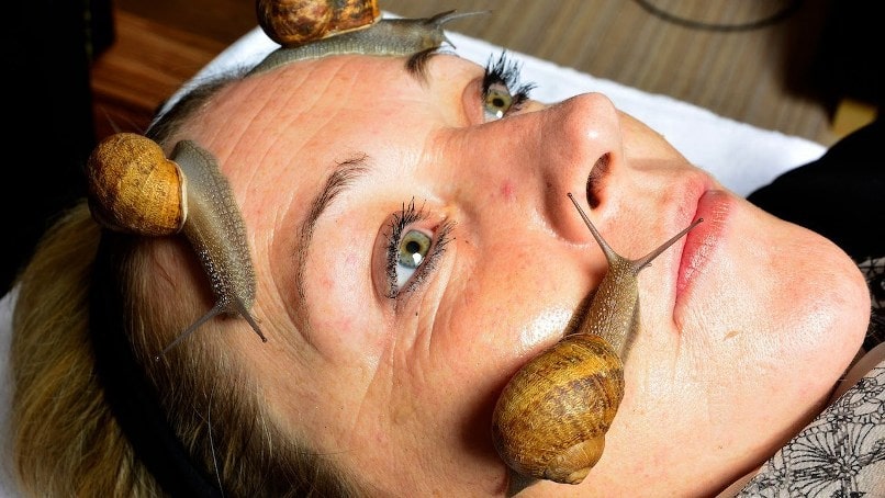 Snail Massage Treatment